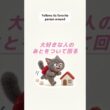 コラットあるある＆ちょっと雑学🐱 いくつ当てはまる？ #shorts