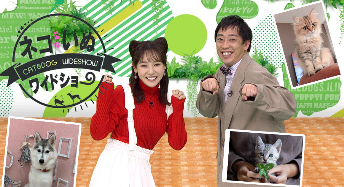 ネコいぬワイドショー | BS朝日