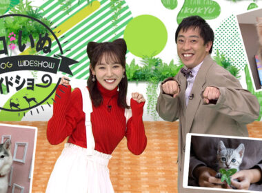 ネコいぬワイドショー | BS朝日