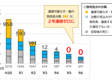 R6致死処分ゼロ