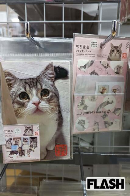 もちまる日記、YouTube引退宣言で飼い猫に「穏やかな日々を」集まる心配…炭酸水騒動・救急搬送 “密着” が物議、登録者も1年半で15万人減