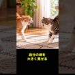猫はなぜ横歩きで威嚇する？「やんのかステップ」の正体