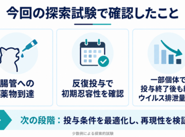 FIPから猫を守る、新たなアプローチ。腸管FCoVに着目した経口薬候補「HNW-001」、猫での探索試験を完了 | 鹿児島・九州プレスリリース | 生活情報 | くらし