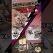 DARKNESS AWAKENS... 🦇 The Dark Truth Of Mama Cat! 🙀 #DevonRex #Shorts #DarkHumor #cat #kitten
