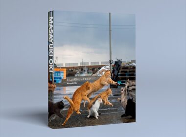 写真集「ねこは何かといそがしい」が本日発売！ 猫たちの愛らしさとユーモアを凝縮 - MANGA Watch